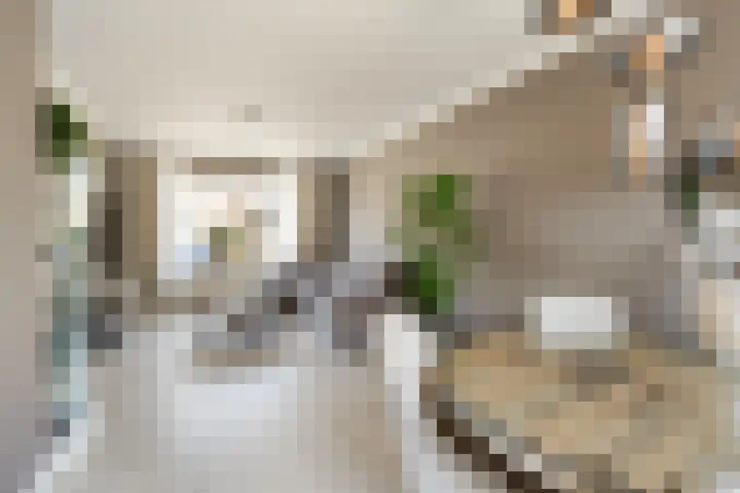 Haarlemstraat 41 's-Hertogenbosch thumbnail 9