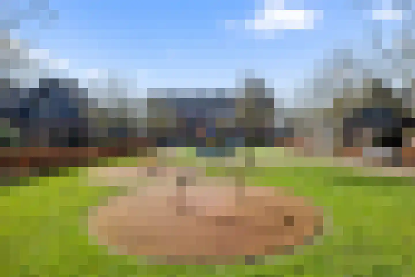Haarlerberg 12 Amersfoort thumbnail 57