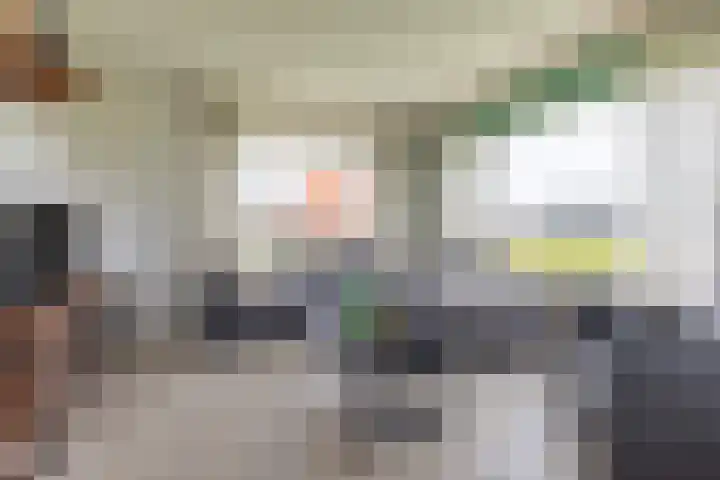 Haarlerweg 2 A Holten thumbnail 6