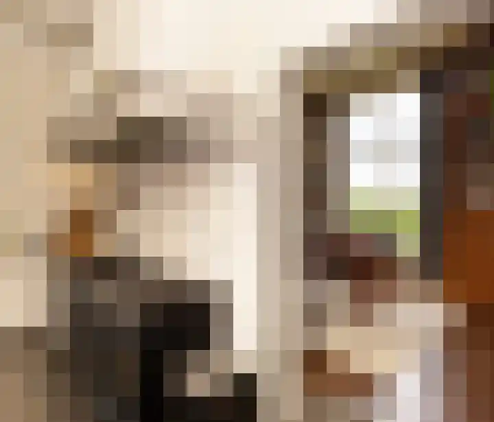Haarloseweg 4 Neede thumbnail 13