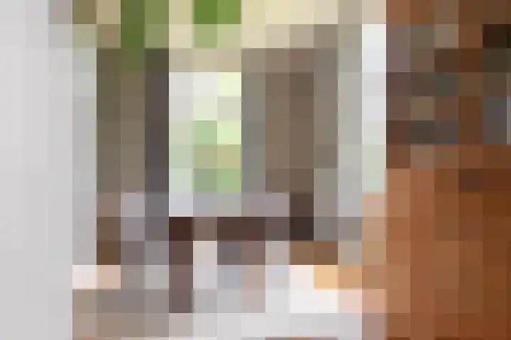 Haarloseweg 4 Neede thumbnail 14