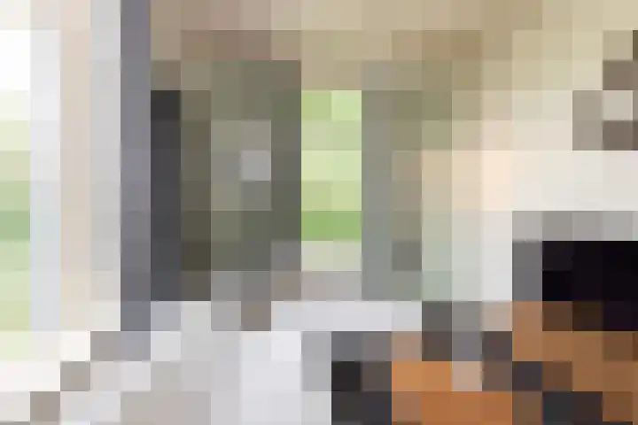 Haarloseweg 4 Neede thumbnail 23