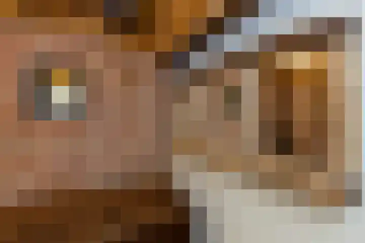 Haarloseweg 4 Neede thumbnail 29