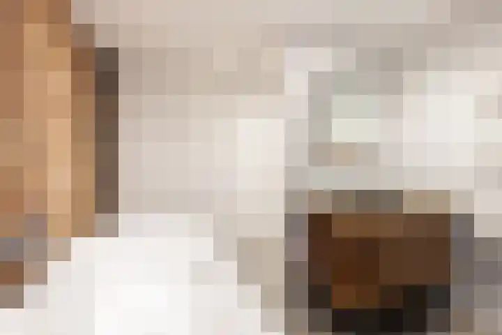 Haarloseweg 4 Neede thumbnail 34