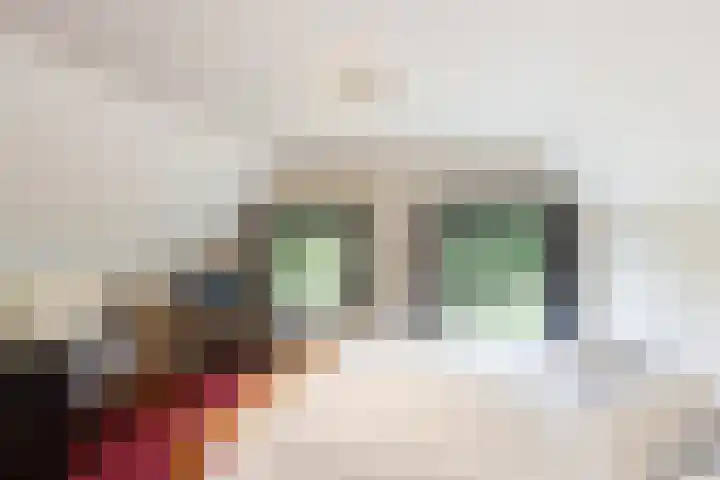 Haarloseweg 4 Neede thumbnail 45