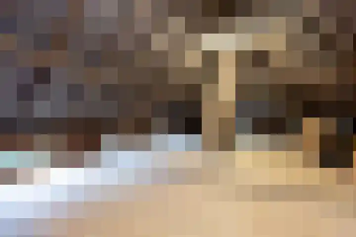 Haarloseweg 4 Neede thumbnail 47