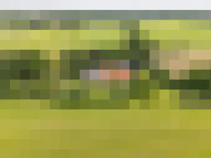 Haarloseweg 4 Neede thumbnail 5