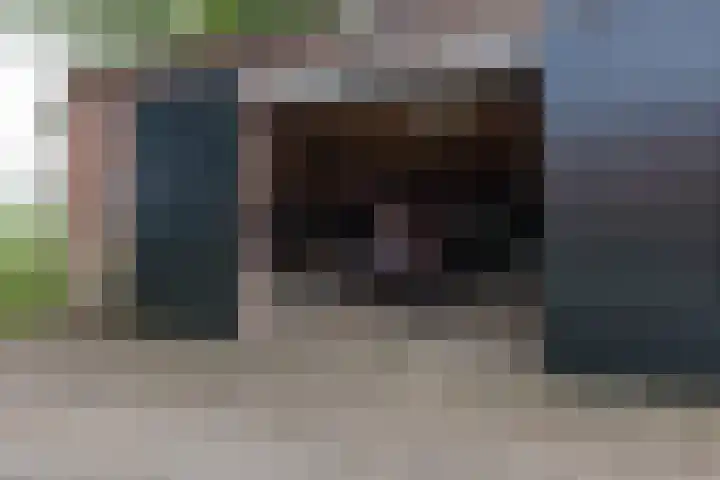 Haarloseweg 4 Neede thumbnail 55