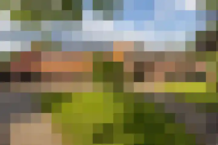 Haarloseweg 4 Neede thumbnail 59