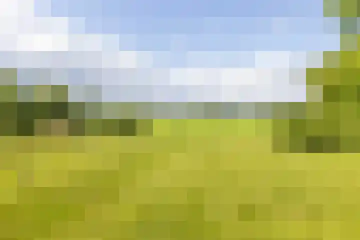 Haarloseweg 4 Neede thumbnail 6