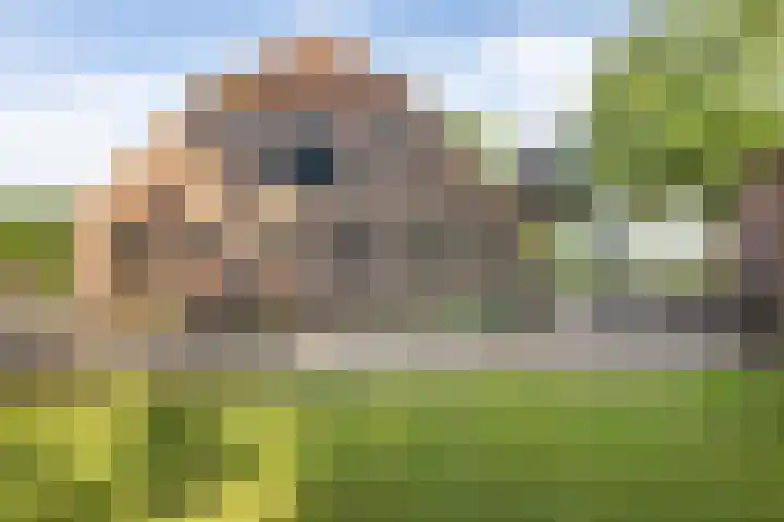 Haarloseweg 4 Neede thumbnail 60