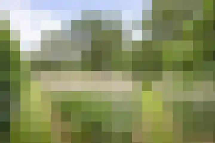 Haarloseweg 4 Neede thumbnail 61