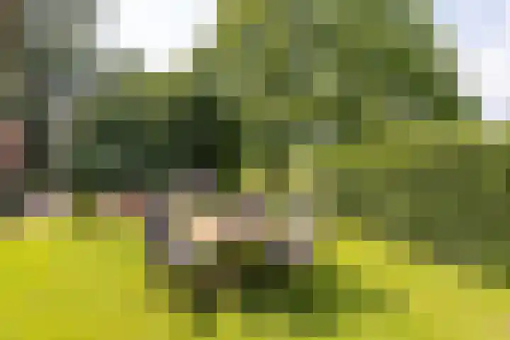 Haarloseweg 4 Neede thumbnail 62