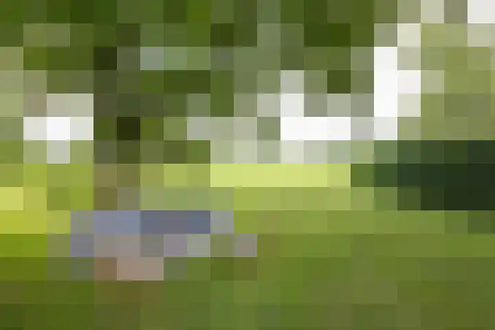 Haarloseweg 4 Neede thumbnail 63