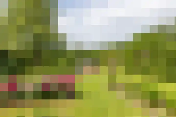Haarloseweg 4 Neede thumbnail 64