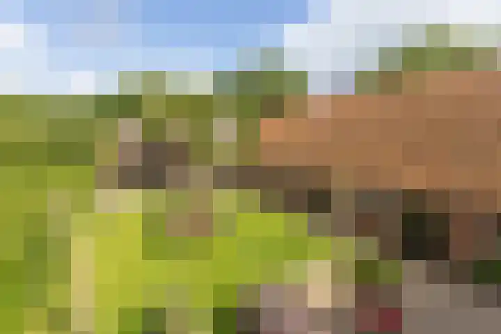 Haarloseweg 4 Neede thumbnail 65
