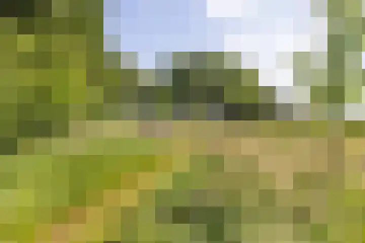 Haarloseweg 4 Neede thumbnail 66