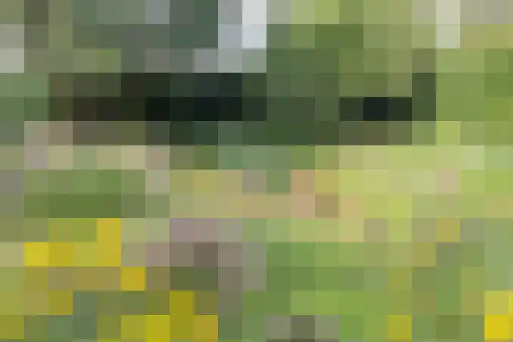 Haarloseweg 4 Neede thumbnail 67