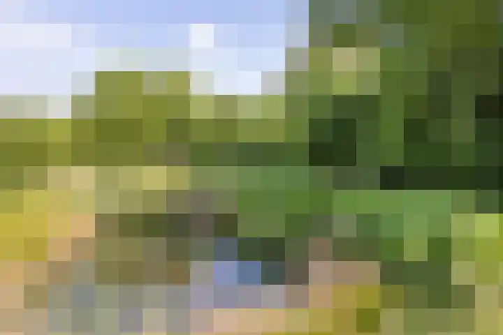 Haarloseweg 4 Neede thumbnail 68