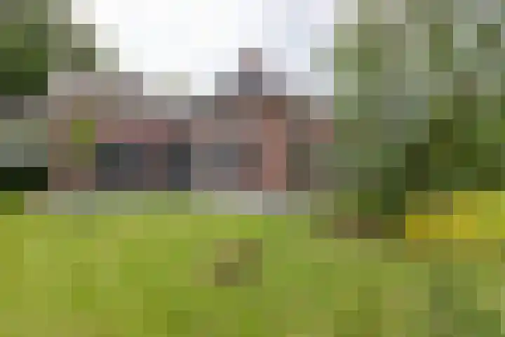Haarloseweg 4 Neede thumbnail 7