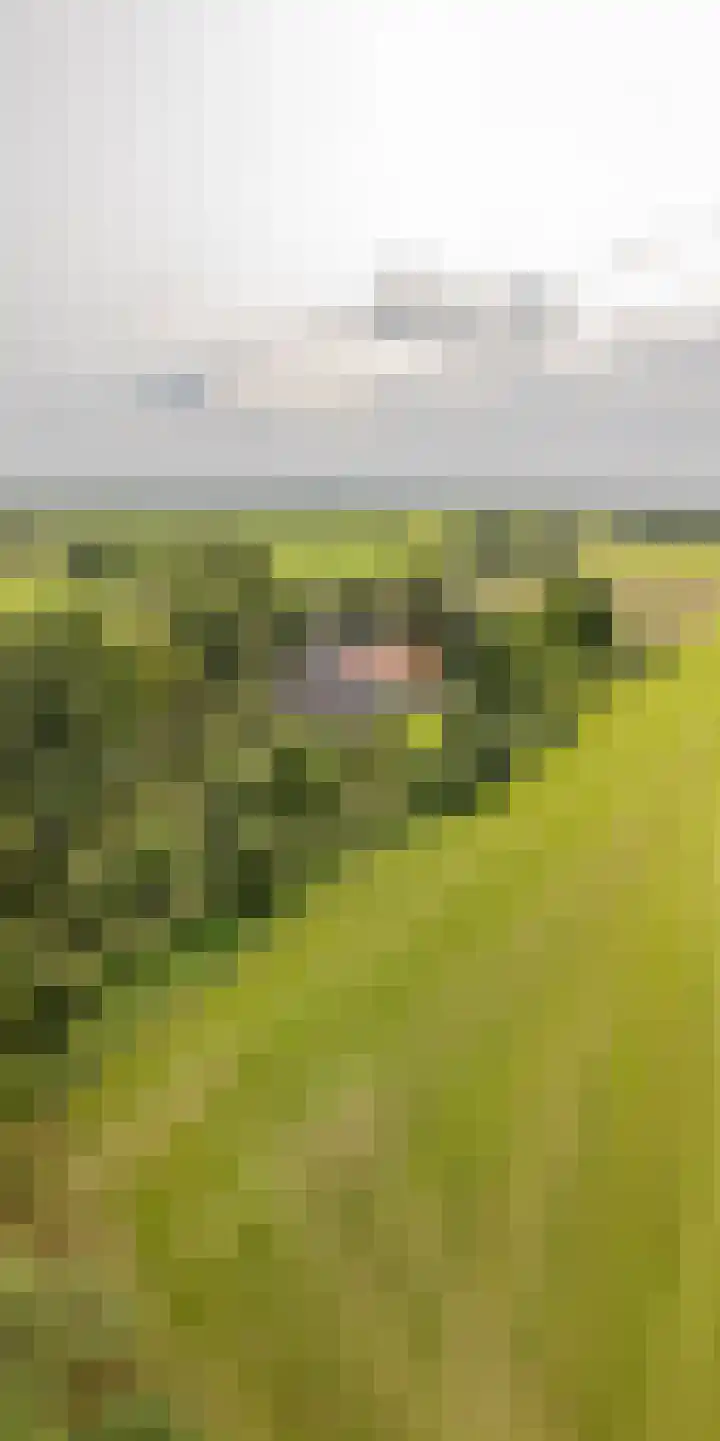 Haarloseweg 4 Neede thumbnail 70
