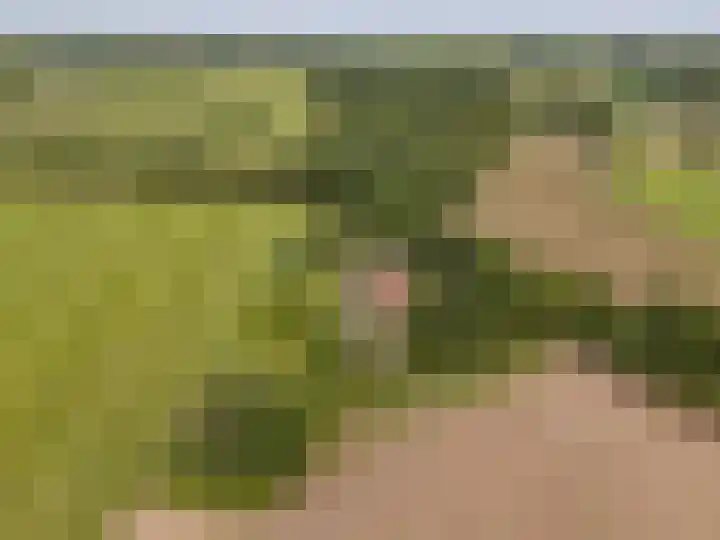 Haarloseweg 4 Neede thumbnail 71