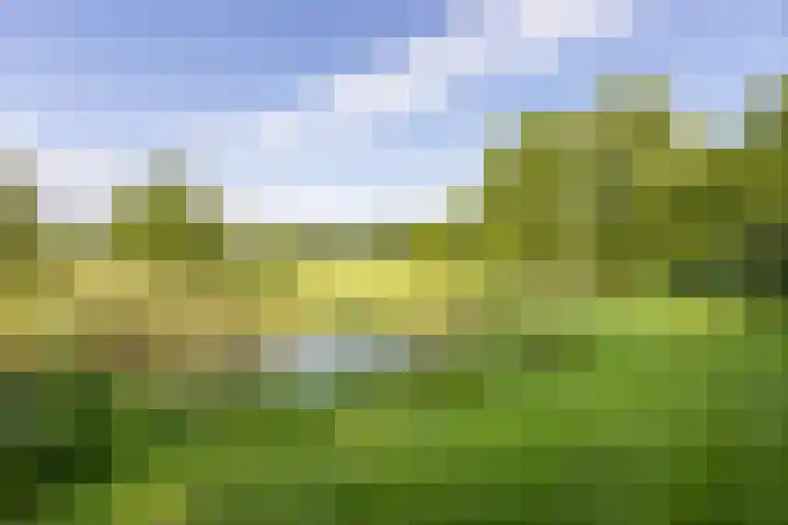 Haarloseweg 4 Neede thumbnail 8
