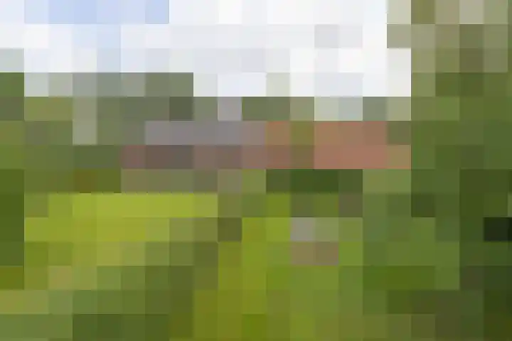 Haarloseweg 4 Neede thumbnail 9