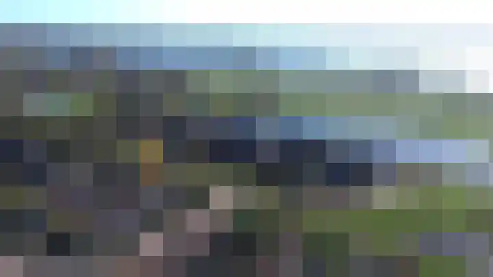 Haarmos 10 in Reeuwijk