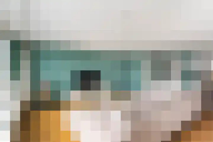 Haarmos 10 Reeuwijk thumbnail 10