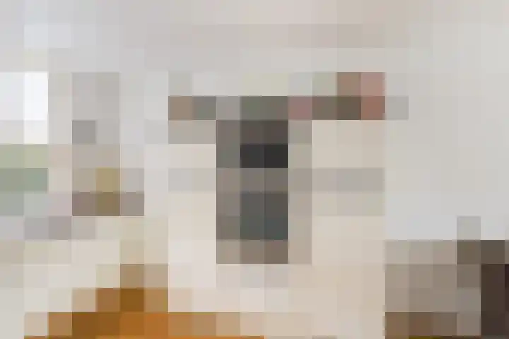Haarmos 10 Reeuwijk thumbnail 14