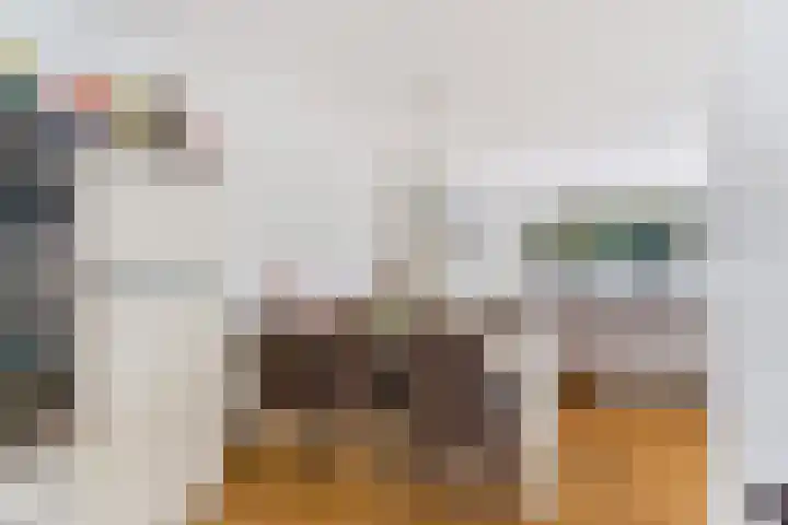 Haarmos 10 Reeuwijk thumbnail 15