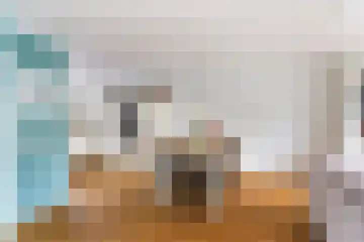 Haarmos 10 Reeuwijk thumbnail 16