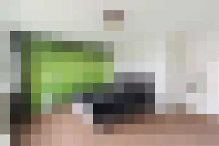 Haarmos 10 Reeuwijk thumbnail 19