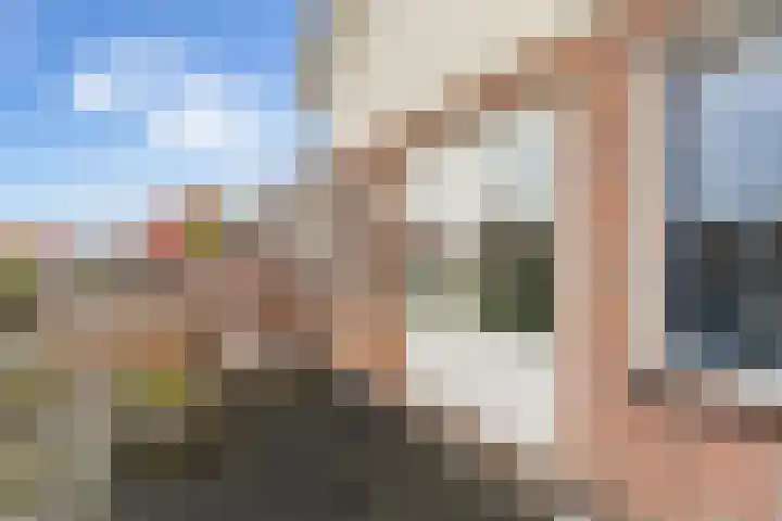 Haarmos 10 Reeuwijk thumbnail 22