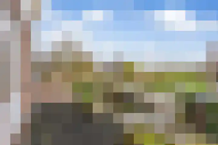 Haarmos 10 Reeuwijk thumbnail 23