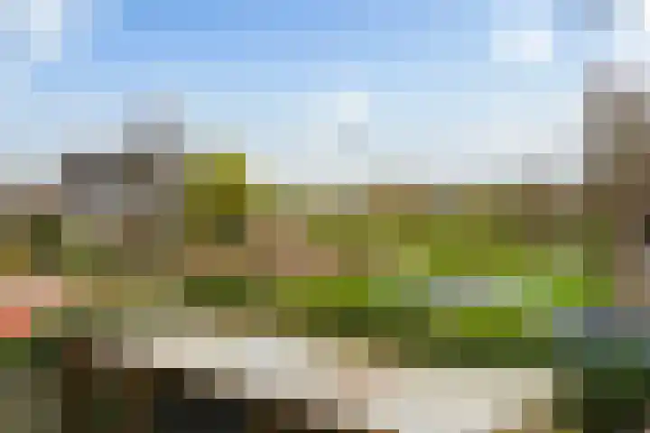 Haarmos 10 Reeuwijk thumbnail 24