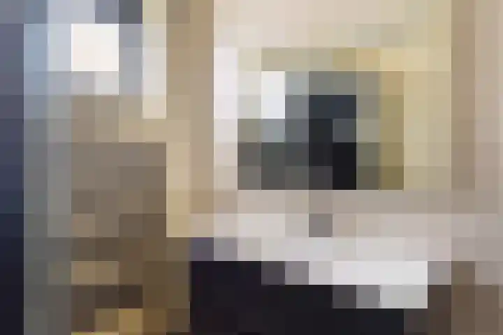 Haarmos 10 Reeuwijk thumbnail 25
