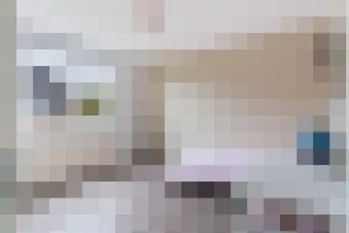 Haarmos 10 Reeuwijk thumbnail 27