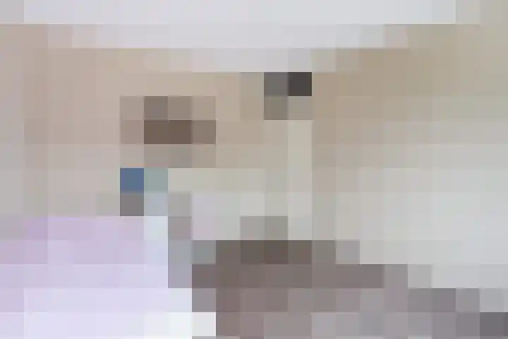 Haarmos 10 Reeuwijk thumbnail 29