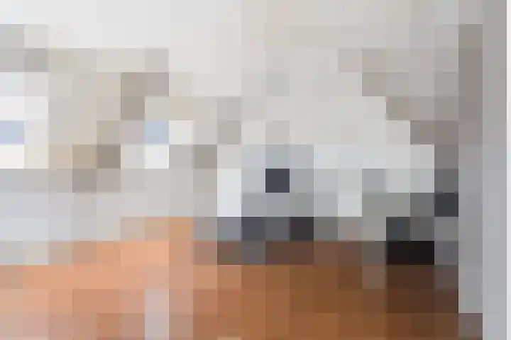Haarmos 10 Reeuwijk thumbnail 30