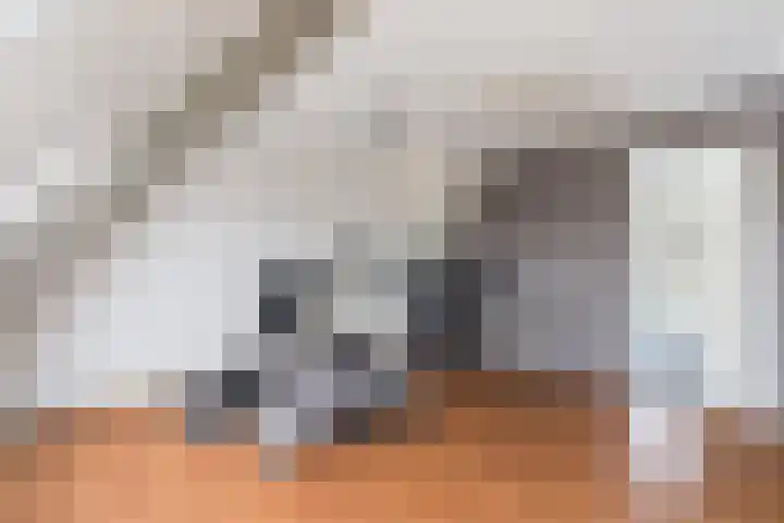 Haarmos 10 Reeuwijk thumbnail 32
