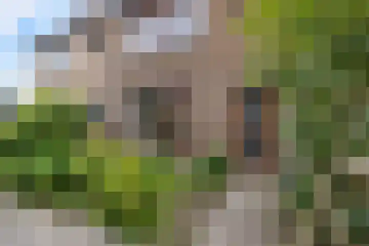 Haarmos 10 Reeuwijk thumbnail 33