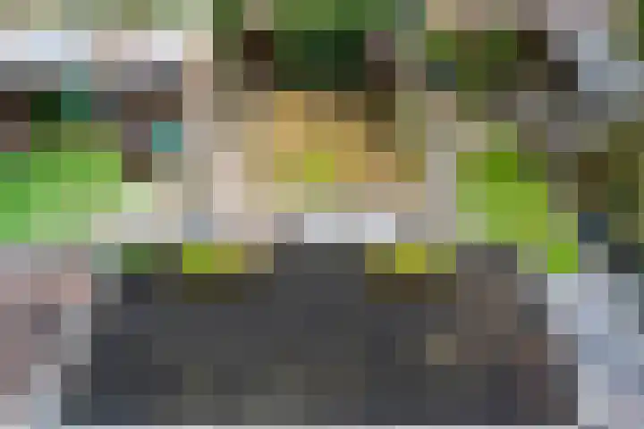Haarmos 10 Reeuwijk thumbnail 35