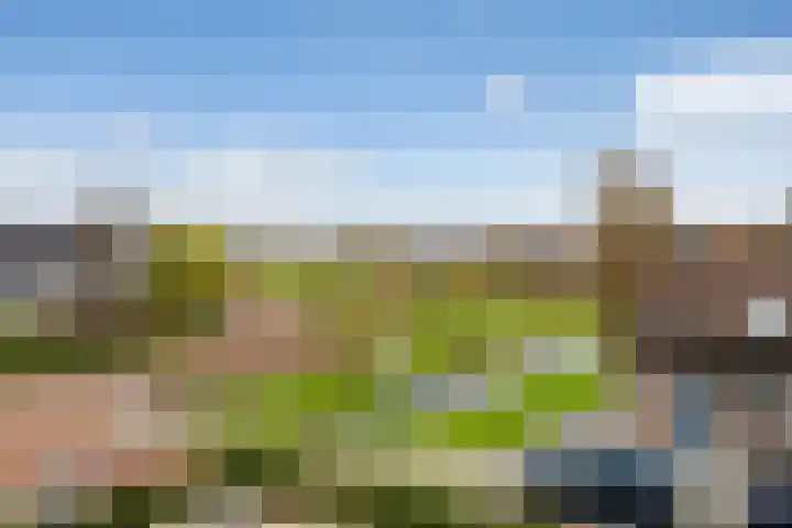 Haarmos 10 Reeuwijk thumbnail 36