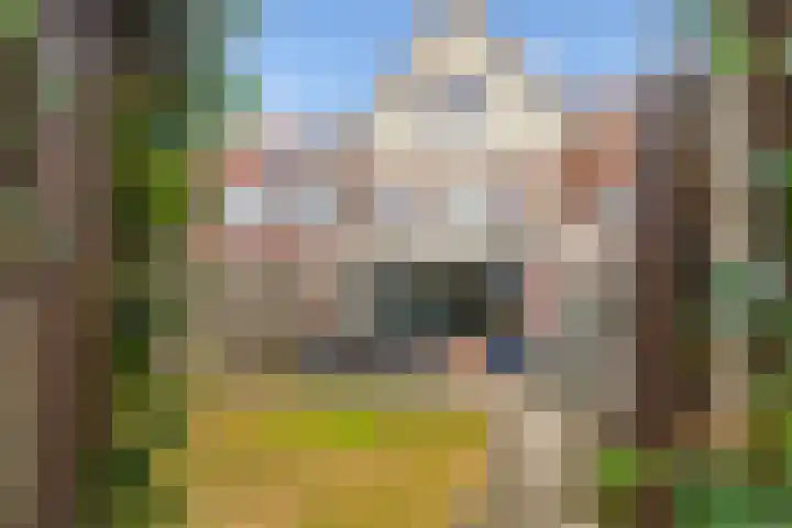 Haarmos 10 Reeuwijk thumbnail 37