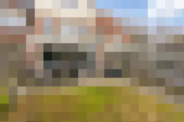 Haarmos 10 Reeuwijk thumbnail 38