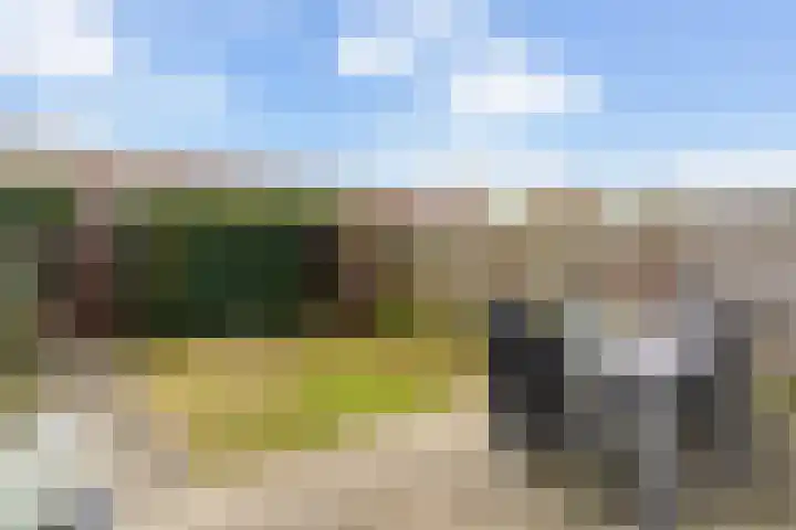 Haarmos 10 Reeuwijk thumbnail 39