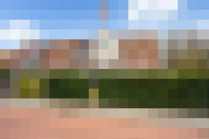 Haarmos 10 Reeuwijk thumbnail 4