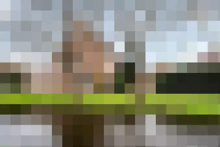 Haarmos 10 Reeuwijk thumbnail 41